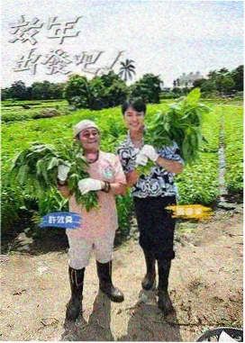 厨房大乱斗综艺海报